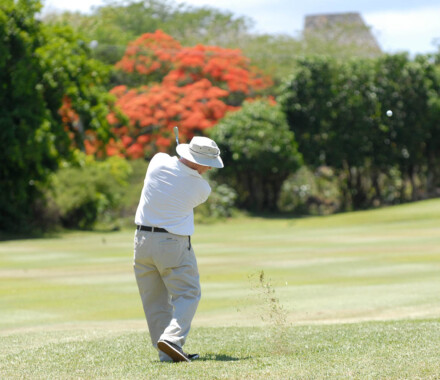 Un parcours fabuleux