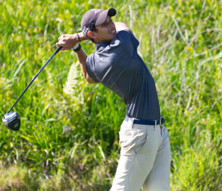 Pierre Pellegrin en puissance